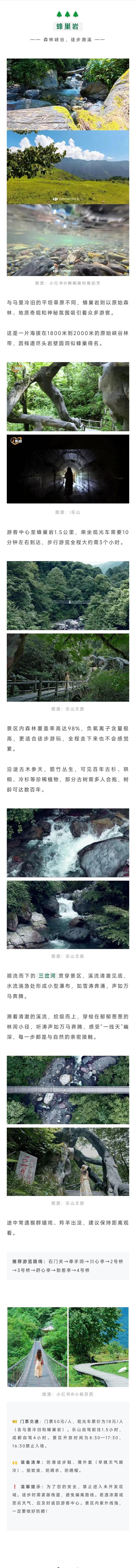 暂别川西！乐山黑竹沟已经美到神仙级！