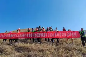 武山县：加强草原保护修复 持续提升生态功能图片