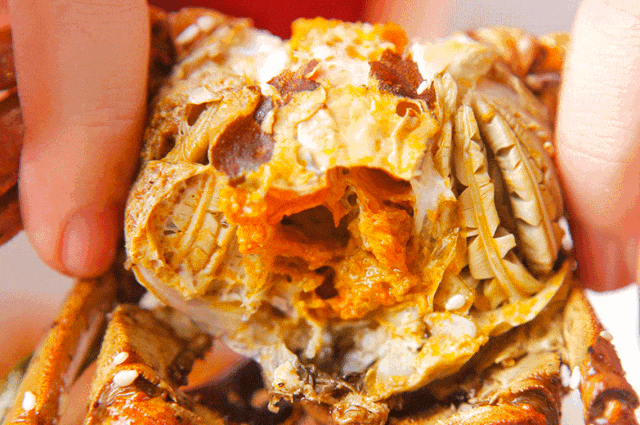 ️阳澄湖挤爆？这个核心产蟹区才真香！蟹宴限时6折！客房3折特惠！送免费住宿惊喜