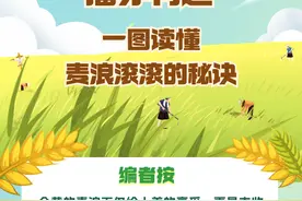 可视化丨“播亦有道”，一图读懂麦浪滚滚的秘诀图片