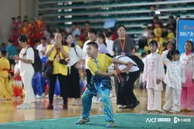 2024广府文化节武术竞赛暨第十六届幼儿武术嘉年华启动图片