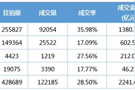 法拍平台商业用房屡现流拍，“捡漏”房为何难出手？图片