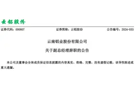 陈德斌辞去云南铝业股份有限公司副总经理职务图片