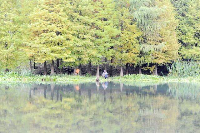 贵阳：花溪十里河滩深秋景色美