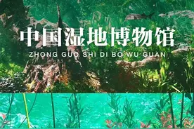 闯入水下湿地世界｜雨天的中国湿地博物馆，太太太好逛了！图片