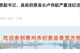 辞去公职7年后！惠州市博罗县原县长卢伟航被开除党籍图片