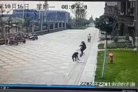 “涉事黑犬已被找到”！被咬伤女童仍昏迷图片