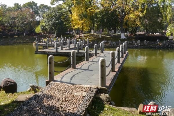 岁暖时刻丨株洲市市中心的“文化绿洲”，叠满文化buff的公园