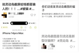 iPhone灵动岛截图10元一张？新骗局，小心被远程锁机！图片
