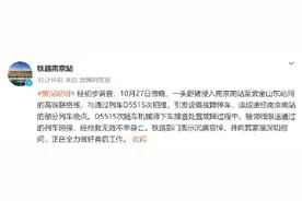 铁路南京站：野猪撞火车，机械师处置时被邻线列车碰撞身亡图片