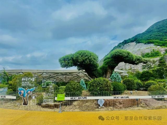 内含福利！江宁这个主题乐园月底开放→