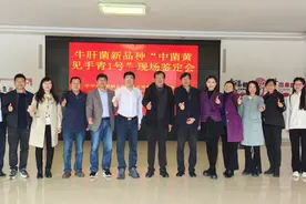 云南上大招！全国首个人工培育见手青出菌，“见手青”自由指日可待图片