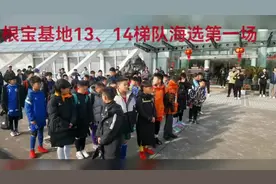 视频：春节假期一天无休，根宝基地开启全国选苗，筹建“一生一世”娃娃军！图片