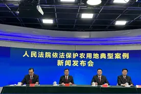 最高法：坚决制止农用地转让、流转后土地荒芜等情形图片