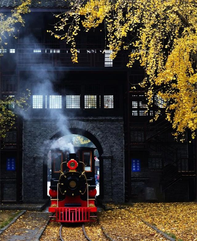 刷屏预警！高坪六合银杏进入 “半黄半绿” 阶段，周末约去~