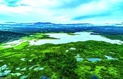 火山林海写就自然史诗
