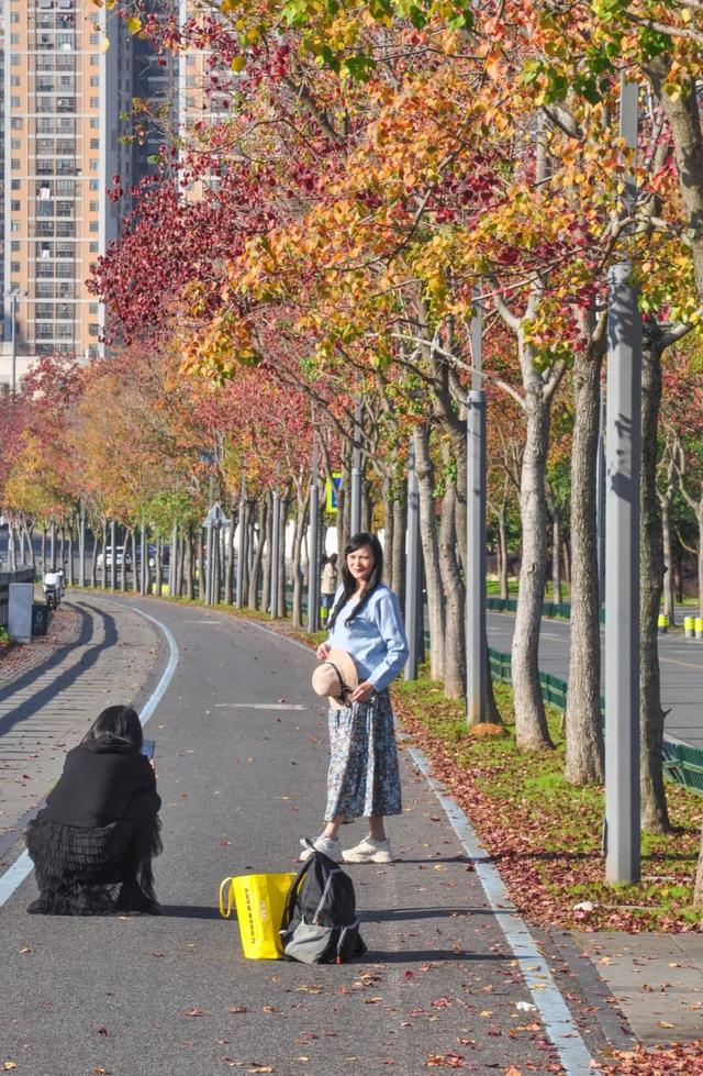 错过真的要等一年！光谷赏秋红橙黄橘绿正当时！