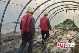 国网株洲天元供电支公司：电力党员服务队送来“及时雨”护航春耕图片