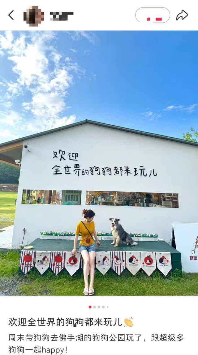 正式开放！南京也太友好了
