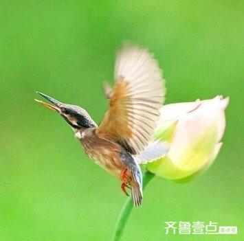 华山湖湿地公园以其优美的自然景观和丰富的生态多样性闻名