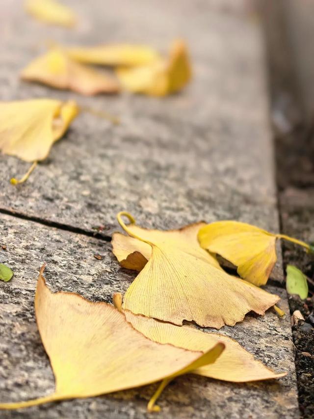 别眨眼，接下来的新干是这样的→