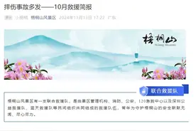 刚刚！深圳梧桐山通报图片