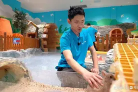 微纪录丨“和动物在一起最快乐”建工男当上动物饲养员图片