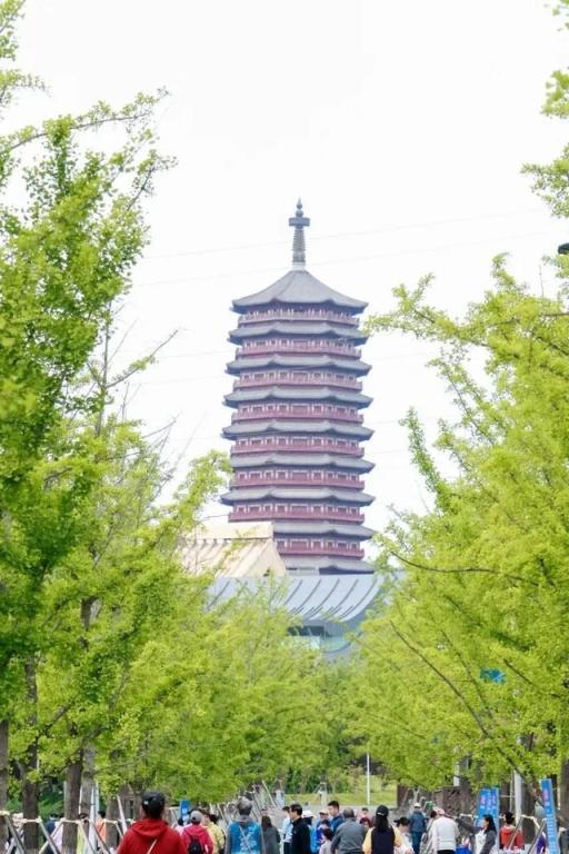 太精彩！北京夏日“室内遛娃天花板”来了！