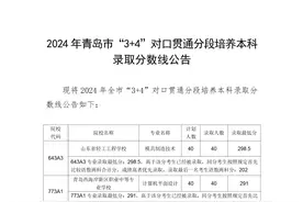 2024年青岛市“3+4”对口贯通分段培养本科录取分数线公告图片