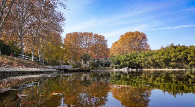 提前预约！郑州黄河迎宾馆初冬美景上线