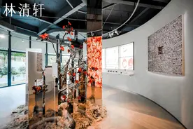 以山茶花凸显“坚韧之美” ，带来“抵御时间岁月”的力量图片
