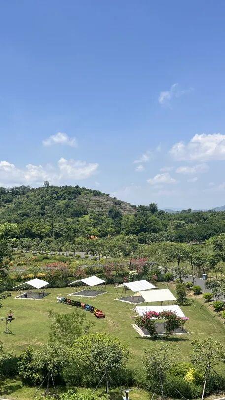 赏花撸萌宠、水果采摘、围炉煮茶……来珠海这里跨年，太精彩！