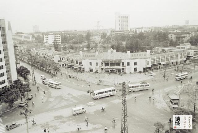 读城｜工业路上羊蹄甲 花开花落近“不惑”