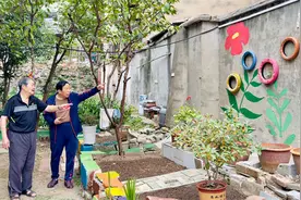小区杂草地变身缤纷花园，居民齐心共绘幸福生活画卷图片