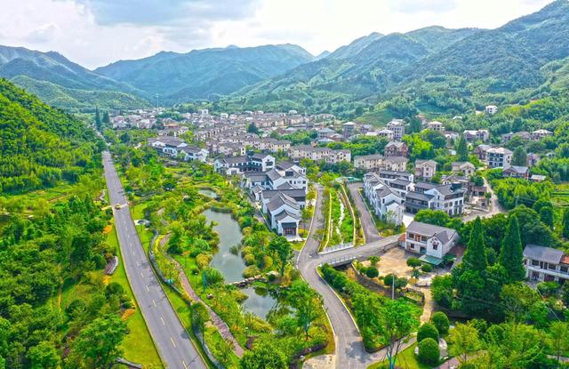 青山留我住江南｜杭州余杭这一抹绿，别开生面