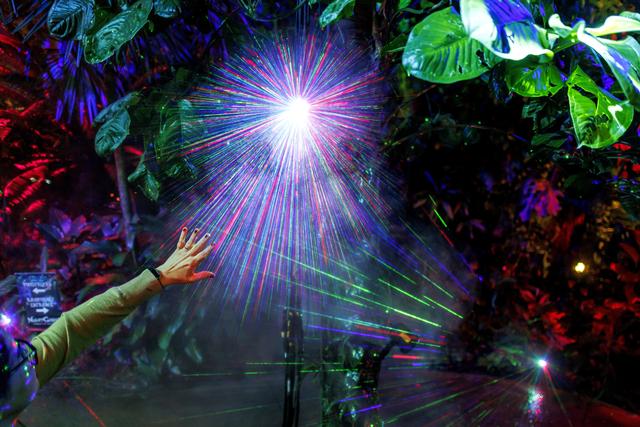 （外代二线）“夜间公园”灯光秀