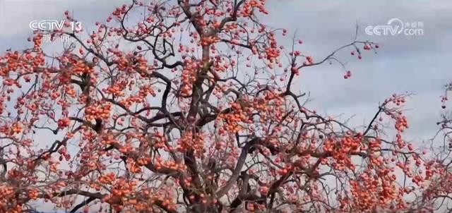 各地解锁秋冬限定美景 一键Get冬日出游新场景新玩法