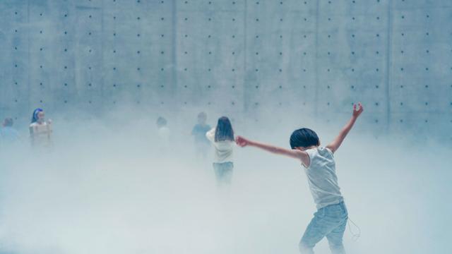 最新资讯-这届上海双年展，是给感官和心灵的“光合感化”(8)