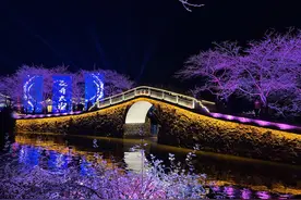 “世界三大赏樱胜地”之一 无锡鼋头渚开启浪漫夜樱游园！图片