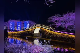 “世界三大赏樱胜地”之一 无锡鼋头渚开启浪漫夜樱游园！图片