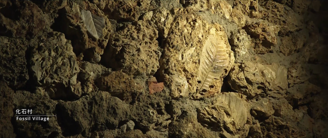 石屏城市宣传片《此心安处是石屏》发布！