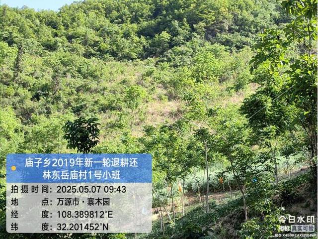锦绣天府·安逸四川｜厚植生态本底赋能康养之廊