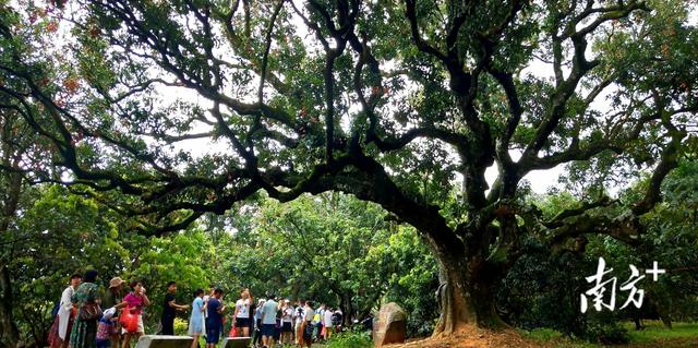 仙人洞和柏桥村跻身全省旅游“优选名单”