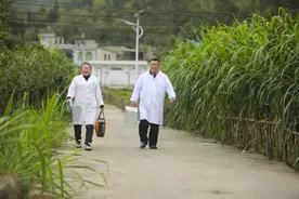 黔西大关“夫妻档村医”呵护村民健康图片