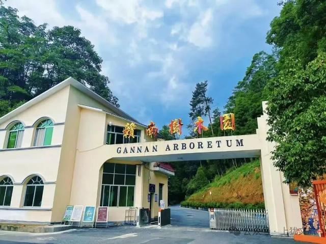 阳明湖最新“枫”情预告