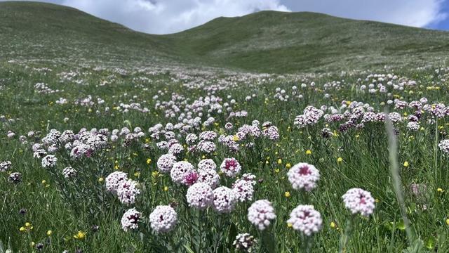 藏族少年的‘西天取经’梦启程