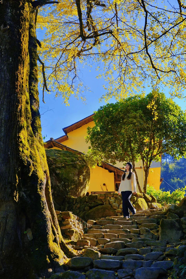 江西秋日自驾天花板，这几条公路带你驶入最美秋色！