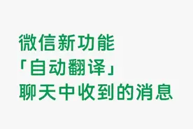 最新版本微信增加“自动翻译”与“批量操作”功能图片