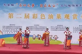 永安镇：花开似锦春意浓 赏花踏青恰当时图片