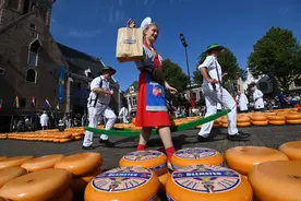 哪些国家最爱吃奶酪？图片